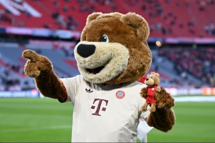 你在德甲能干什么工作?图片报透露德甲从保安到球员的收入水平