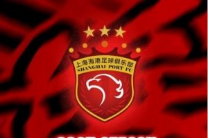 票务公告:中超第22轮海港vs津门虎的比赛将于8月18日12点开票